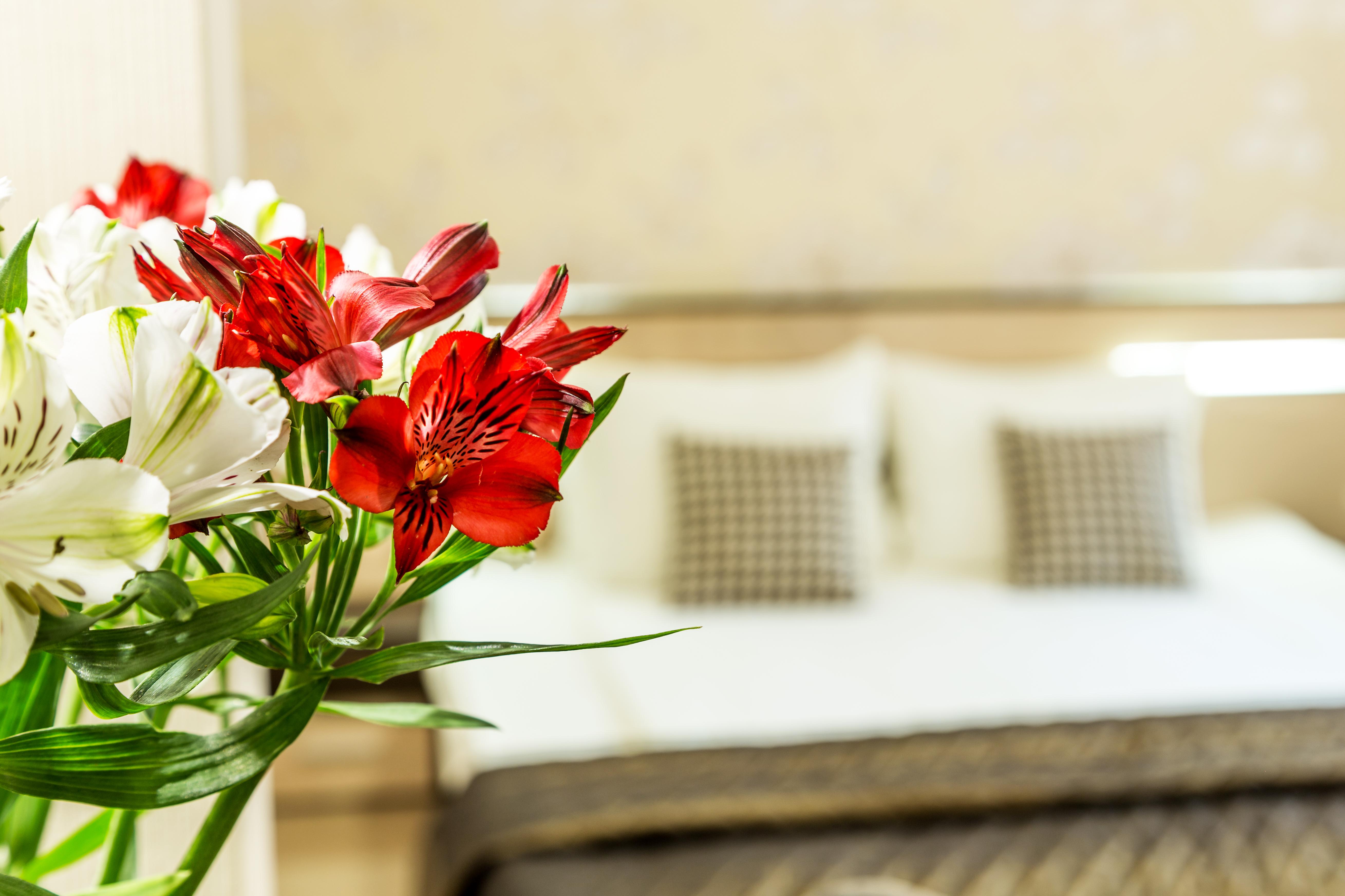 City Avenue Hotel By Hmg-Free Parking-Free Wi-Fi Sofia Luaran gambar
